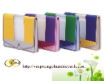 File Clear bag WFd (khổ F)