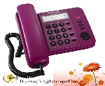 Điện thoại KXTGF310