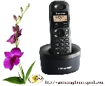 Điện thoại Panasonic Dect thế hệ Eco KX-TG2512