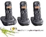 Điện thoại KXTGF310