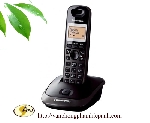 Điện thoại KXTGF310