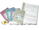 File Plus Report ghi (Giống LW320)