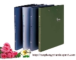 File nhựa 2 túi cạnh Shuter nhiều mầu - S510