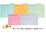 File  bìa giấy  Plus FL061IF blue (file đặt bàn)