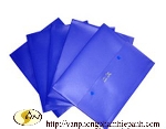 File Clear bag WFd (khổ F)